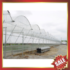 Hollow polycarbonate sheet for greenhouse,conservatory