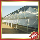 Hollow pc sheet for greenhouse,conservatory