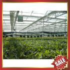 PC sheet,PC sun sheet for greenhouse,conservatory