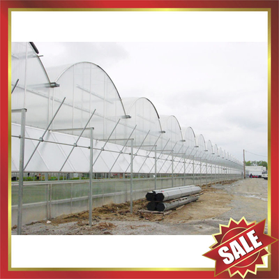 China Hollow polycarbonate sheet for greenhouse,conservatory supplier