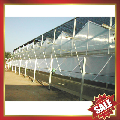 China Hollow pc sheet for greenhouse,conservatory supplier