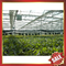 PC sheet,PC sun sheet for greenhouse,conservatory supplier