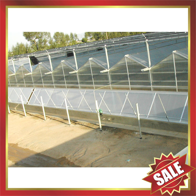 Twin-wall pc sheet for greenhouse,conservatory supplier