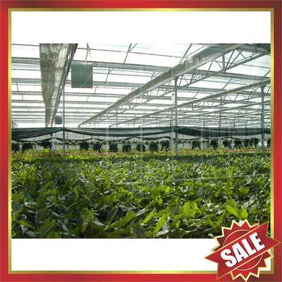 Twin-wall pc sheet for greenhouse,conservatory supplier