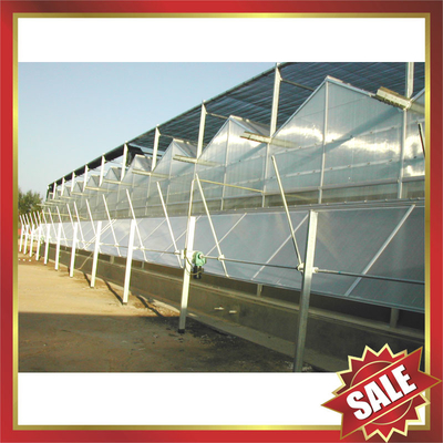 Twin-wall pc sheet for greenhouse,conservatory supplier